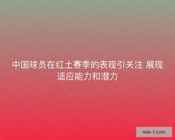 中国球员在红土赛季的表现引关注 展现适应能力和潜力